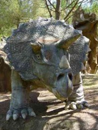 Triceratope