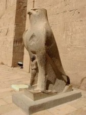 Falco simbolo di Horus