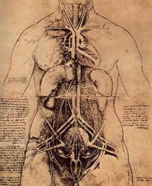 Disegni di Leonardo