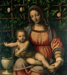 Madonna del Roseto (B. Luini)