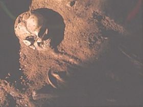Grotta Guattari (cranio)