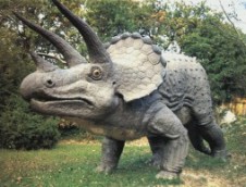 Triceratopo