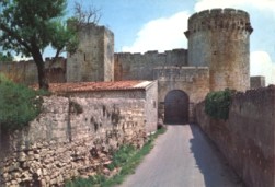 Castello Matilde di Canossa