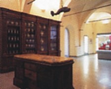 Spezieria Santa Fina